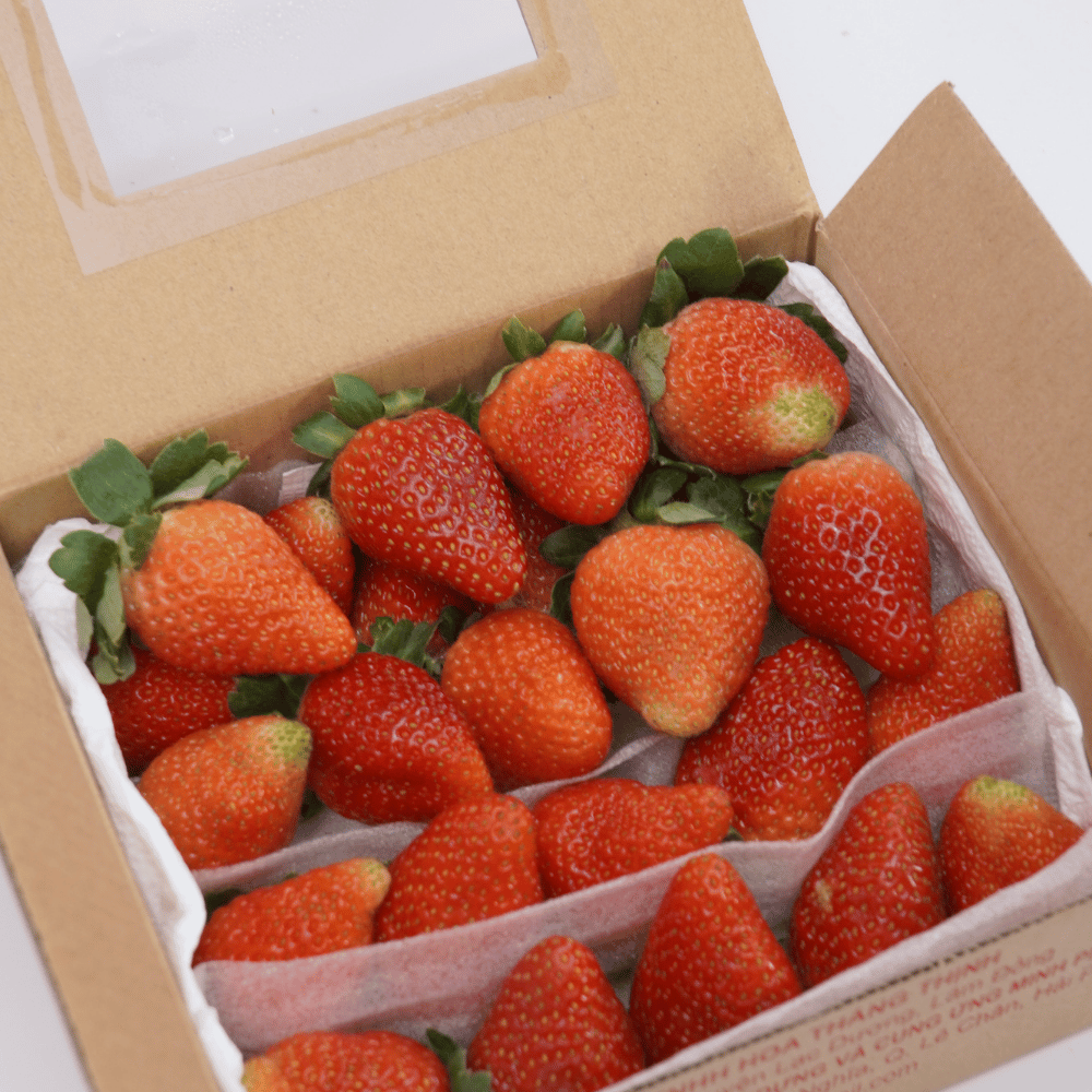 dau_tay_giong_my_250g__i0008922___2__65981eb9b726497b859f8a892da2fa10_master